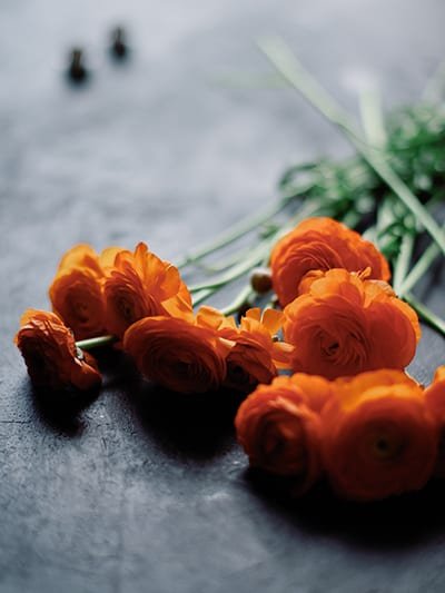 Flower Shop 60 Flower Shop 60