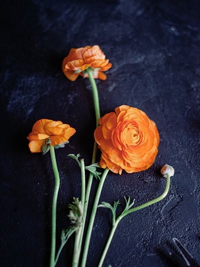 Flower Shop 61 Flower Shop 61